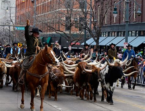 Denver stock show 2024 - Jan 5, 2024 · Updated: 9:29 AM MST January 5, 2024. DENVER — The 2024 National Western Stock Show Kick-Off Parade was held Thursday to celebrate the launch of the 118th annual National Western Stock Show in ... 
